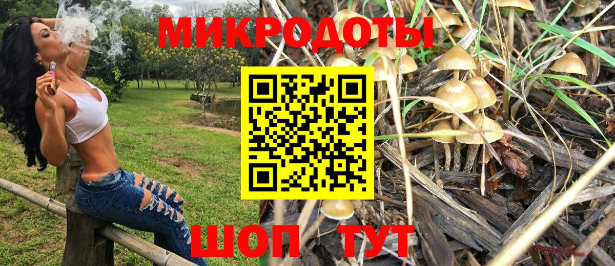 Псилоцибиновые грибы ЛСД Хабаровск