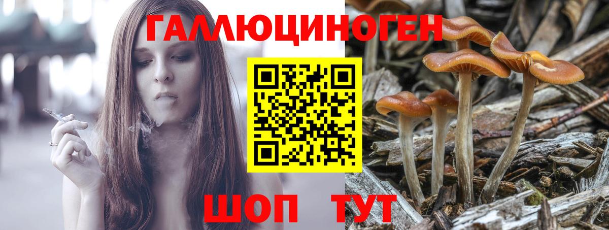 Хабаровск  Псилоцибиновые грибы прущие грибы  Вход с VPN 